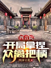 四合院:开局拿捏众禽把柄