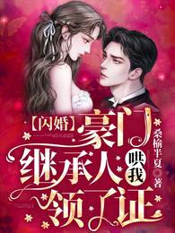 闪婚:豪门继承人哄我领了证